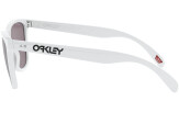 OAKLEY Frogskins 35th Anniversary Polished White Prizm Grey
