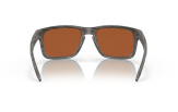 P&auml;ikeseprillid OAKLEY Holbrook erimudelid "Woodgrain Collection" Prizm Shallow Water Polarized
