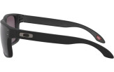 Päikeseprillid OAKLEY Holbrook XS Matte Black Prizm Gray