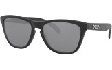 Päikeseprillid OAKLEY Frogskins Matte Black Prizm Black Polarized