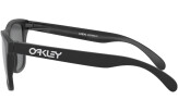 Päikeseprillid OAKLEY Frogskins Matte Black Prizm Black Polarized
