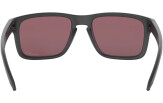 Päikeseprillid OAKLEY Holbrook Steel Collection Prizm Daily Polarized