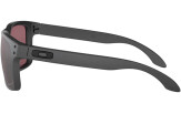 Päikeseprillid OAKLEY Holbrook Steel Collection Prizm Daily Polarized