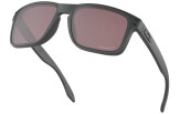 Päikeseprillid OAKLEY Holbrook Steel Collection Prizm Daily Polarized