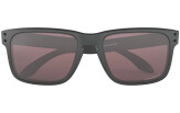 Päikeseprillid OAKLEY Holbrook Steel Collection Prizm Daily Polarized
