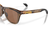 Päikeseprillid OAKLEY Frogskins Range Brown Tortoise/Brown Smoke Prizm Tungsten Polarized