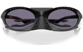 Päikeseprillid OAKLEY Plantaris Matte Black Prizm Grey