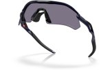 Päikeseprillid OAKLEY Radar Plate Polished Navy Prizm Grey