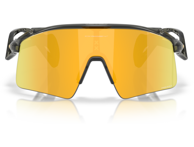 Oakley Stunt Wing Grey Smoke Prizm 24k