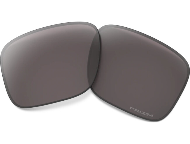 Prilliklaasid OAKLEY Holbrook Prizm Gray