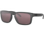 Päikeseprillid OAKLEY Holbrook Steel Collection Prizm Daily Polarized